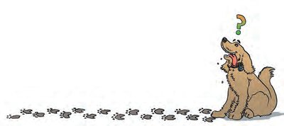Cartoon of a dog thinking about hypotheses and predictions