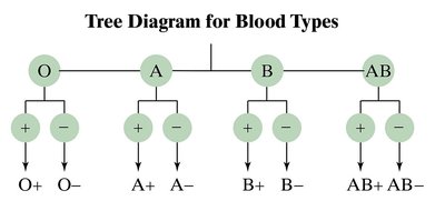 Tree diagram for blood types