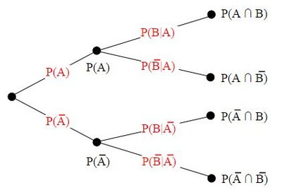 Tree diagram showing branching probabilities