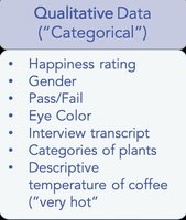 Qualitative data examples
