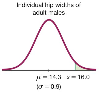 Individual hip widths of adult males