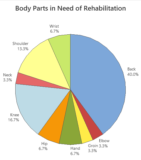 Pie chart for body parts in need of rehabilitation