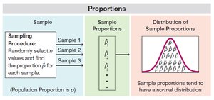 Sampling distribution of sample proportions