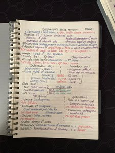 Handwritten notes showing classification of variables and data types