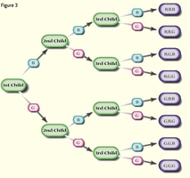 Tree diagram for three children
