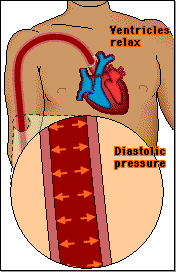 Blood pressure before and after exercise
