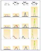 Sampling distributions for different populations and sample sizes