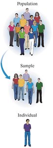 Diagram showing population, sample, and individual
