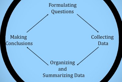 The statistical process: Formulating Questions, Collecting Data, Organizing and Summarizing Data, Making Conclusions