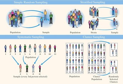 Sampling methods: Simple random, stratified, systematic, cluster