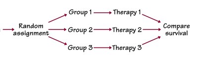 Random allocation to groups and treatments