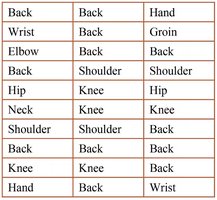 Raw qualitative data table (body parts)