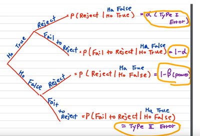 Type I and Type II Errors Tree Diagram