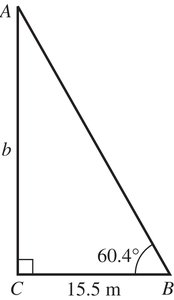 Right triangle with angle 60.4° and side 15.5 m